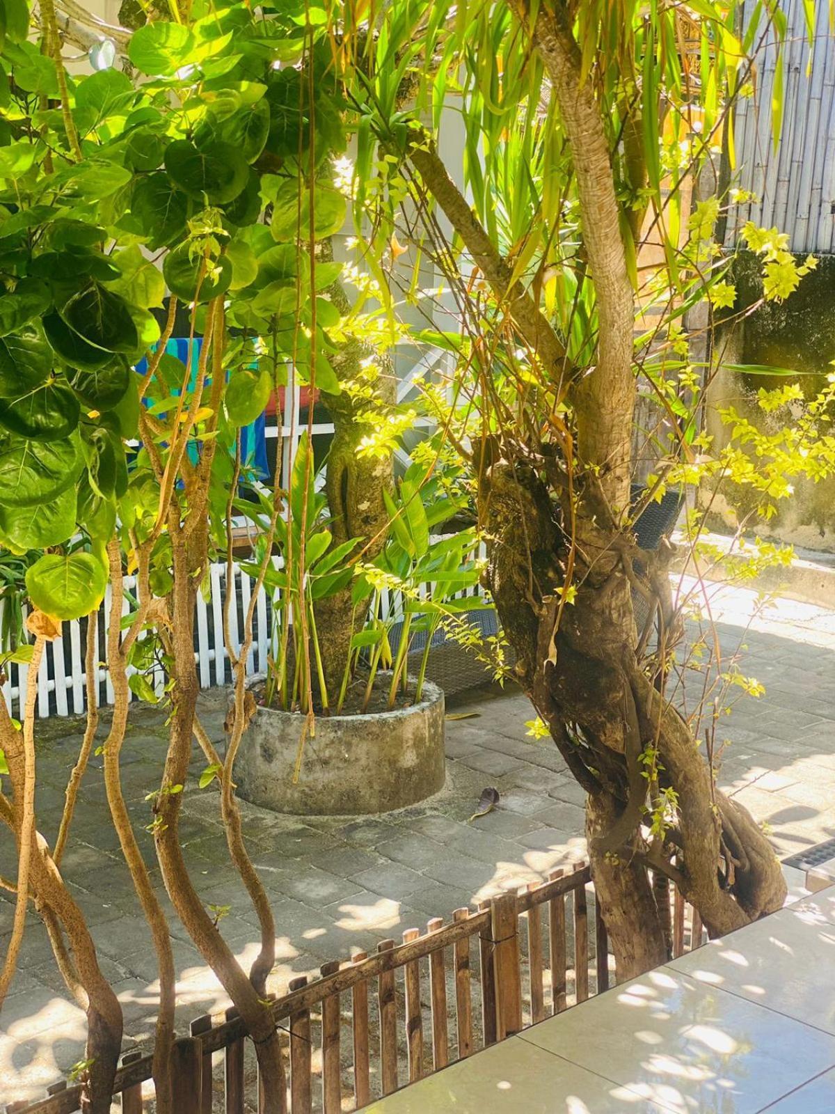Tarci Bungalows Lembongan Eksteriør billede